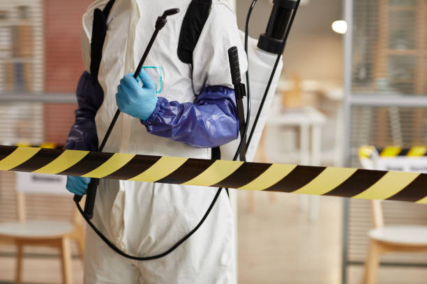 Professional Hoarding Cleanup technician working in Mine Hill, NJ